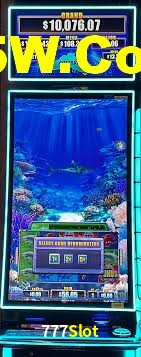 Sports Statistics 777Slot